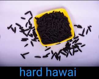 Screenshot 2026-02-25 123100