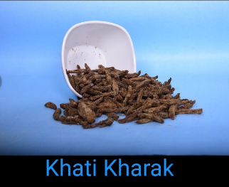 Screenshot 2026-02-25 123117